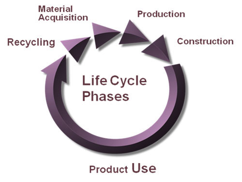 life cycle phases